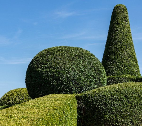 Comment créer un petit jardin de fines herbes en intérieur pour la cuisine ?